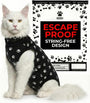 Cat Recovery Suit Female After Spay