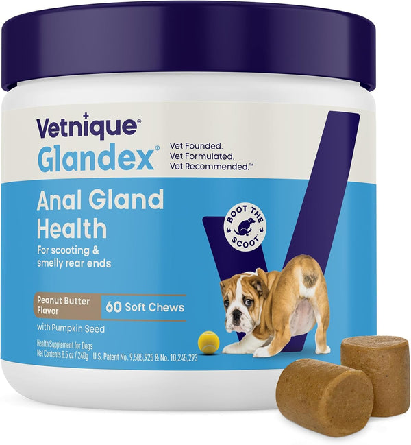 Glandex for Dogs Anal Gland Chews 60Ct Pumpkin + Digestive Enzymes