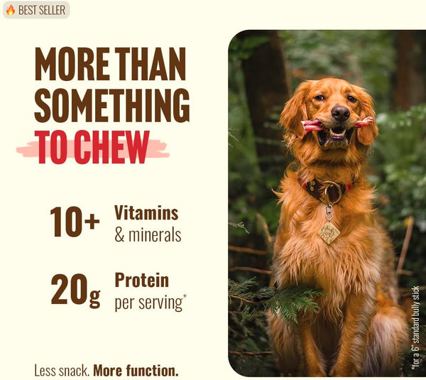 Odor-Free Bully Sticks (6 Inch, 25 Count),1.3 Lb. Bag, Fully Digestible 100% Beef Pizzle Chews,Grass-Fed, Non-Gmo,Grain-Free, Natural Long-Lasting Chews for Small & Large Dogs. Pack of 25