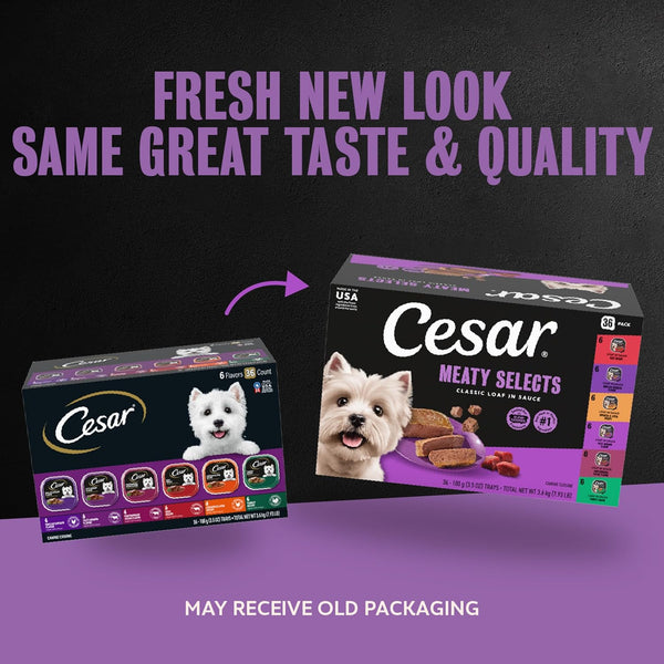 Classic Loaf in Sauce Wet Dog Food, Meaty Selects, 3.5 Oz, 36 Count
