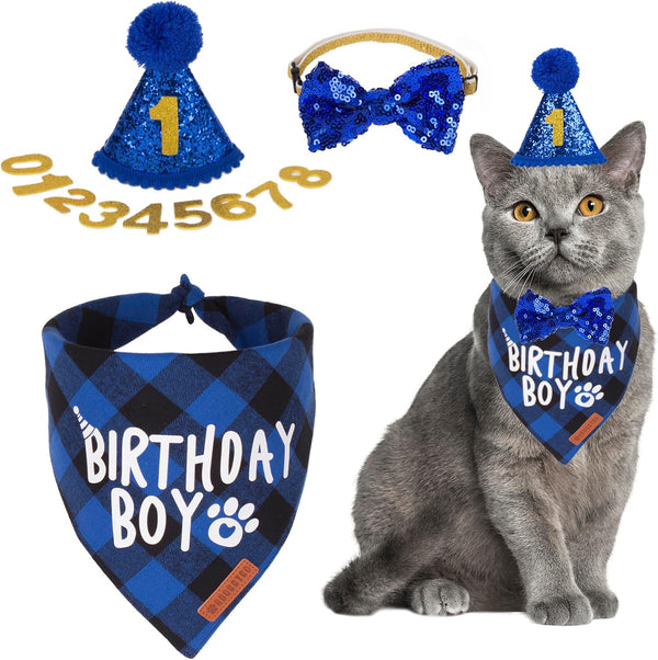 Blue Cat Birthday Hat, Plaid Birthday Boy Bandana Set