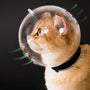 Cat Transparent Muzzle with Breathable Hood, Adjustable Kitten Helmet(L)