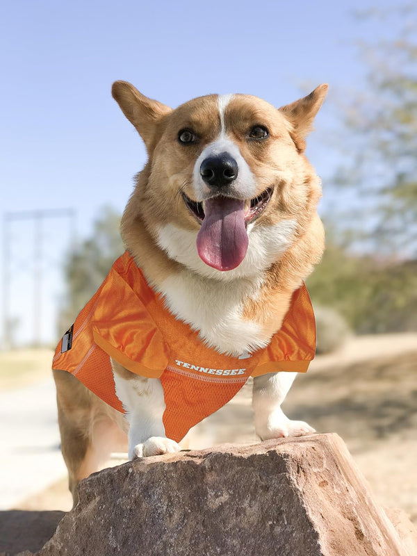NCAA College Tennessee Volunteers Mesh Jersey for Dogs & Cats, X-Large. Licensed Big Dog Jersey with Your Favorite Football/Basketball College Team