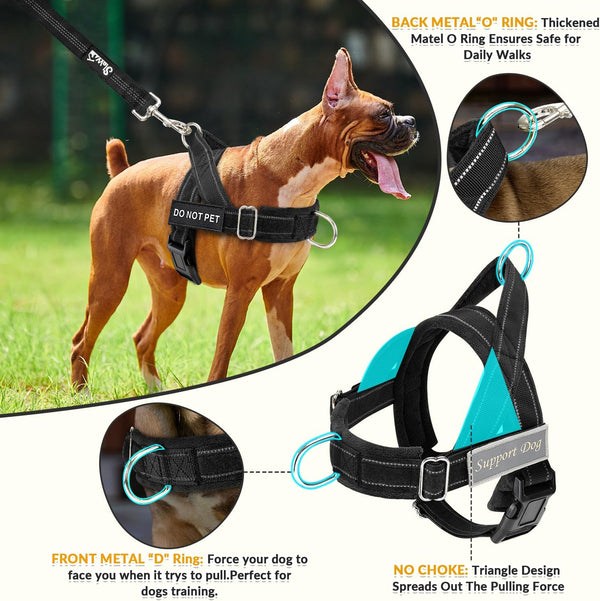 No Pull Dog Harness and Leash Set for Large Medium Breed Dogs