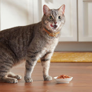 Seafood Favorites, Wet Food Variety Pack, 12 Cups