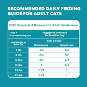 Proactive Health Indoor Dry Cat Food, Chicken & Turkey, 7 Lb