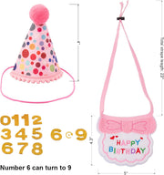 Cat Birthday Hat Bandana Set, Pink Girl Kitten Birthday Outfit