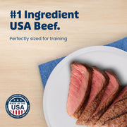 Bits Beef Training Treats, 19 Oz