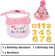 Cat Birthday Hat Bandana Set, Pink Girl Kitten Birthday Outfit