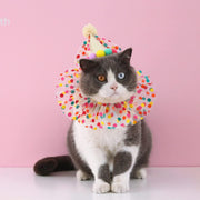 Cat Dog Princess Costumes Cat Birthday Hat and Scarf Pet Birthday Bandana