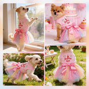 Rainbow Dog Birthday Outfit for Small Dogs Girl Sparkly Dog Birthday Dress Tulle with Big Bowknot Puppy Clothes Pink Fireworks Little Princess Pet Dress (M)