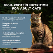 Wilderness Chicken Adult Dry Cat Food, Grain-Free, 12 Lb