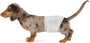 Absorbent Male Dog Wrap Disposable Diapers (Small, 50-Pack)