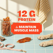 Chicken Jerky Dog Treats, Made with 100% Real Chicken Breast, 16 Ounces, Healthy, Easily Digestible, Long-Lasting, High Protein, Satisfies Dog'S Urge to Chew