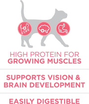 High Protein Natural Kitten Dry Cat Food, 7 Lb Bag