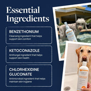 Clinical Care Antiseptic & Antifungal Shampoo, 16 Oz