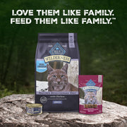 Wilderness Chicken Adult Dry Cat Food, Grain-Free, 12 Lb
