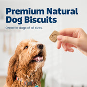 Health Bars Pumpkin & Cinnamon Dog Biscuits, 16 Oz