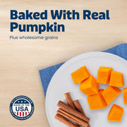 Health Bars Pumpkin & Cinnamon Dog Biscuits, 16 Oz