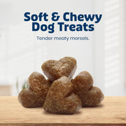 Bits Beef Training Treats, 19 Oz