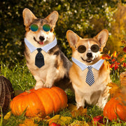 8 Pcs Dog Tie & Glasses Set for Small Dogs Cats, Classic Colors