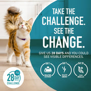 Tender Selects Dry Cat Food, Chicken, 7 Lb Bag