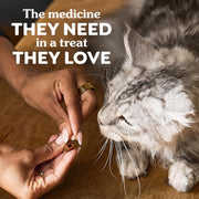 Greenies Feline Pill Pockets Soft Cat Treats, Chicken Flavor, 85 Count
