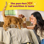 Original Choice Dry Cat Food, 6.3 Pound Bag