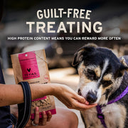 Freeze Dried Dog Treats, Beef Liver, 2.1 Oz Bag