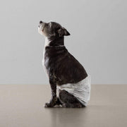 Absorbent, Leakproof Male Dog Wrap Disposable Diapers with Wetness Indicator, Breathable, Small, White, 50-Pack