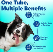 C.E.T. Enzymatic Toothpaste for Dogs and Cats, Poultry, 2.5Oz