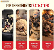 Odor-Free Bully Sticks (6 Inch, 25 Count),1.3 Lb. Bag, Fully Digestible 100% Beef Pizzle Chews,Grass-Fed, Non-Gmo,Grain-Free, Natural Long-Lasting Chews for Small & Large Dogs. Pack of 25