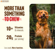 Odor-Free Bully Sticks (6 Inch, 25 Count),1.3 Lb. Bag, Fully Digestible 100% Beef Pizzle Chews,Grass-Fed, Non-Gmo,Grain-Free, Natural Long-Lasting Chews for Small & Large Dogs. Pack of 25