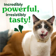 Feline Natural Crunchy Dental Cat Treats, Salmon Flavor, 9.75 Oz