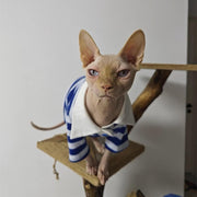 Sphynx Cat Shirt Cotton Hairless Polo T-Shirt with Sleeves Pullover Clothes