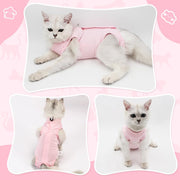 Cat Recovery Suit for Abdominal Wounds Cat Onesie after Surgery Female