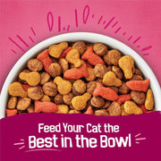 Purina  Gravy Swirlers with Flavors of Chicken, Salmon and Gravy Dry Cat Food - 3.15 Lb. Bag