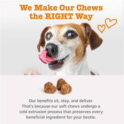 Zesty Paws Dog Vitamins - Dog Multivitamin Chews, Chicken, 90 Ct
