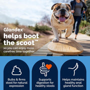 Glandex for Dogs Anal Gland Chews 60Ct Pumpkin + Digestive Enzymes