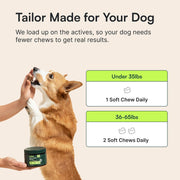 Advanced Hip & Joint Chews for Small & Medium Dogs, Vet Recommended