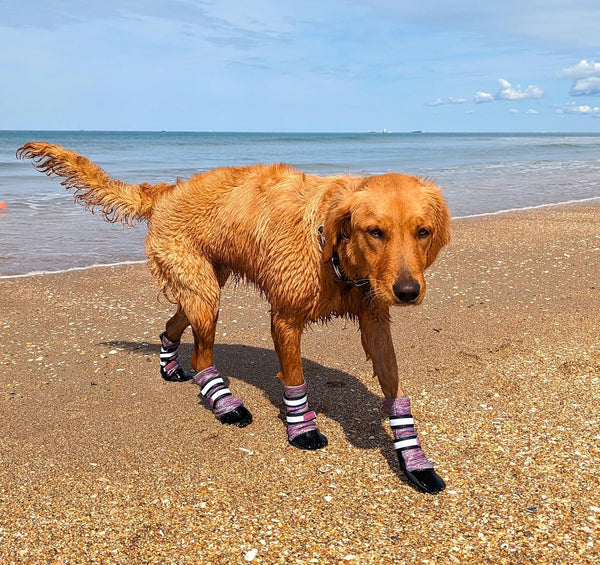 Lightweight Neoprene Paw Protector Dog Boots Designed for Comfort and Breathability in 5 Sizes (Lavender Lg)