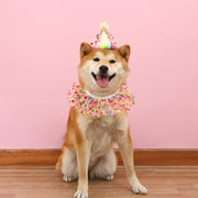 Cat Dog Princess Costumes Cat Birthday Hat and Scarf Pet Birthday Bandana