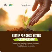 Odor-Free Bully Sticks (6 Inch, 25 Count),1.3 Lb. Bag, Fully Digestible 100% Beef Pizzle Chews,Grass-Fed, Non-Gmo,Grain-Free, Natural Long-Lasting Chews for Small & Large Dogs. Pack of 25