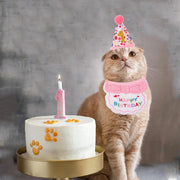 Cat Birthday Hat Bandana Set, Pink Girl Kitten Birthday Outfit