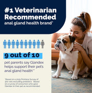 Glandex for Dogs Anal Gland Chews 60Ct Pumpkin + Digestive Enzymes