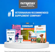 Nutramax Cosequin Joint Supplement for Dogs, Chewable Tablets, 132Ct