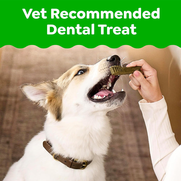 Greenies Large Natural Dental Dog Treats, Original Flavor, 24 Count