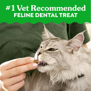 Feline Natural Crunchy Dental Cat Treats, Salmon Flavor, 9.75 Oz