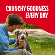 Original Medium Dog Biscuits, 10 Lb Box