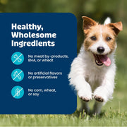 Health Bars Pumpkin & Cinnamon Dog Biscuits, 16 Oz